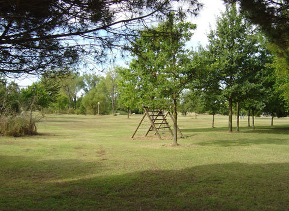 Al via le operazioni per estinguere il focolaio di mixomatosi del Parco di levante