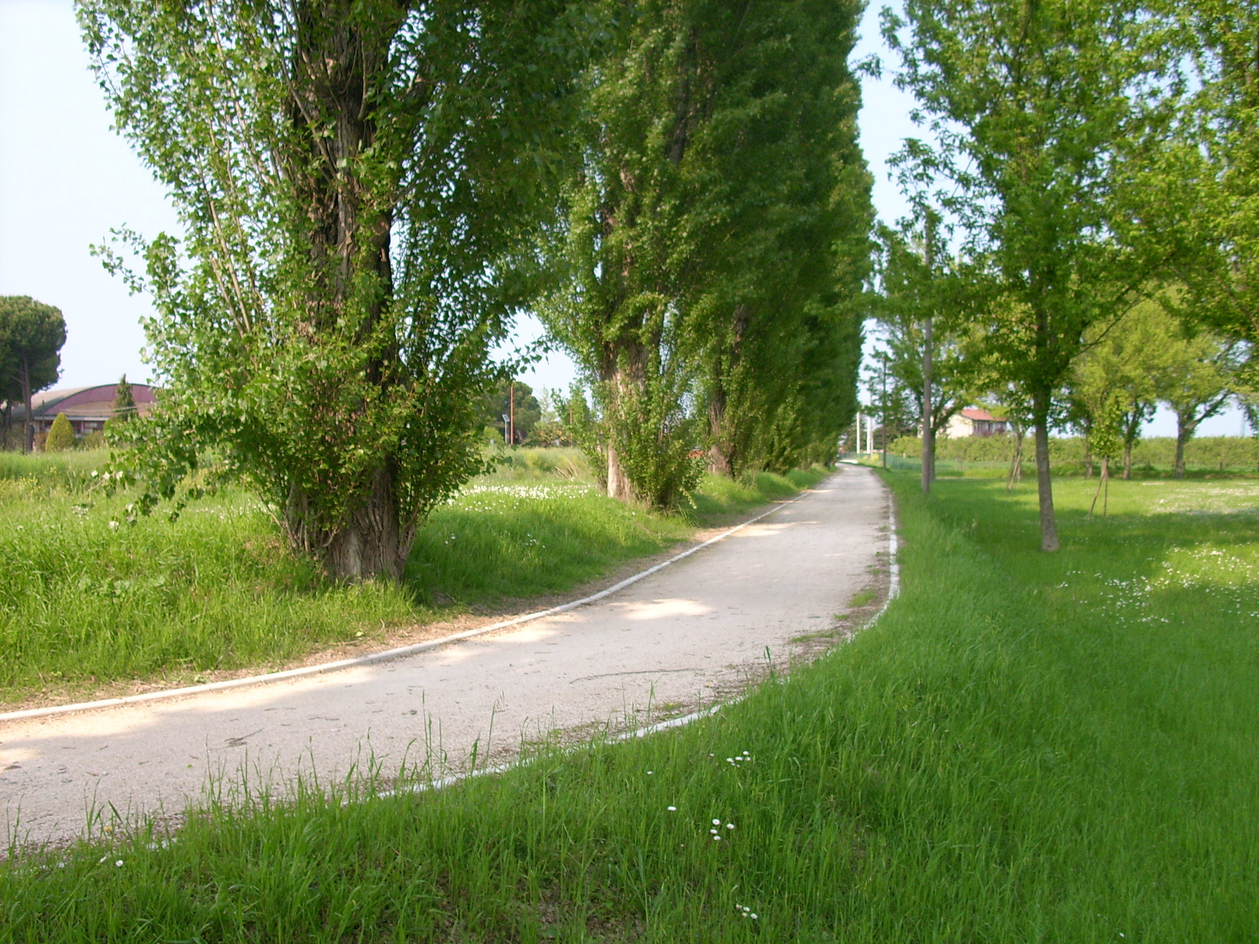 Bando regionale ciclovie: Cesenatico vince con un progetto da 1 milione di euro