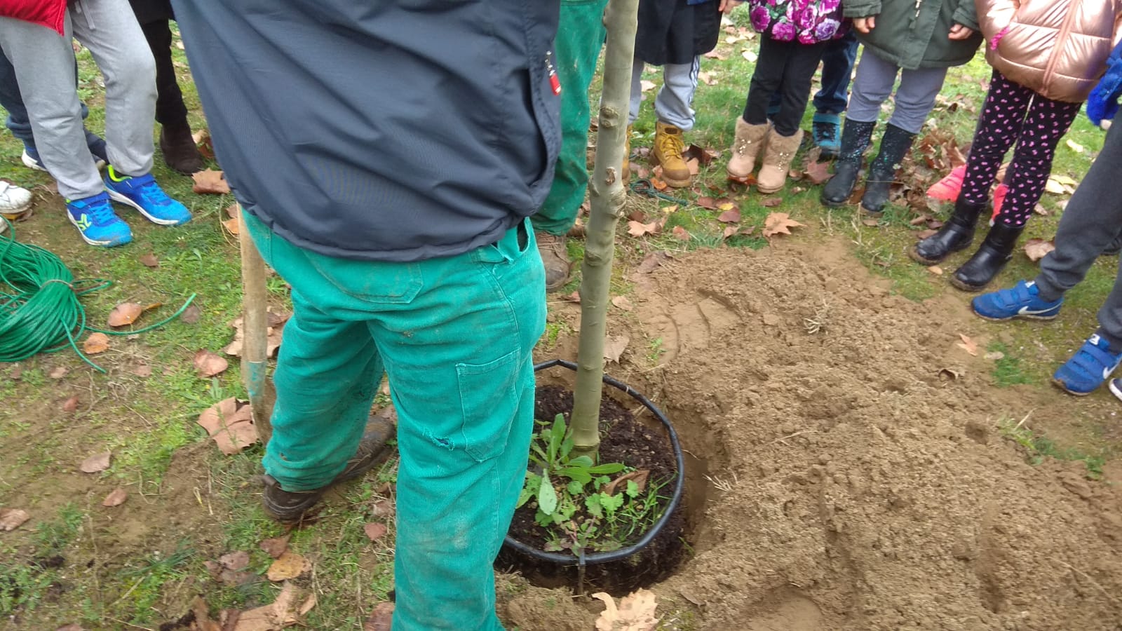 Giornata nazionale degli alberi 2018